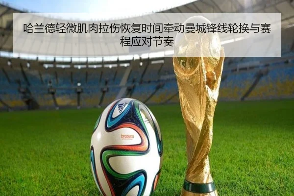 哈兰德轻微肌肉拉伤恢复时间牵动曼城锋线轮换与赛程应对节奏